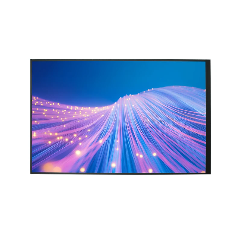 10.1 'Geniş Temp HD TFT LCD ekran modulu