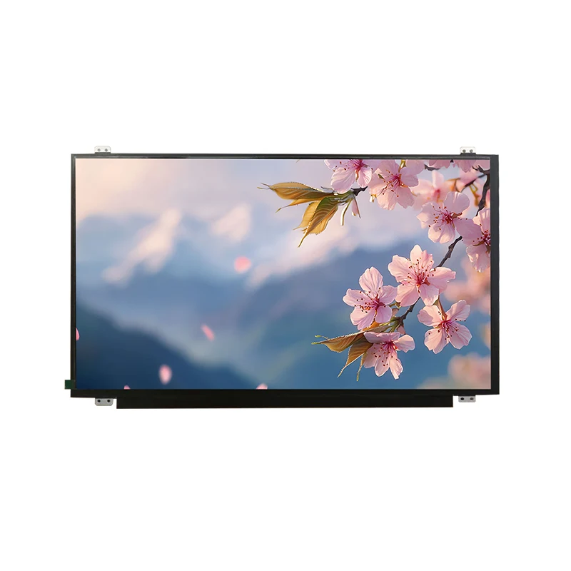 15.6 'HD Geniş Temp IPS TFT LCD ekran modulu
