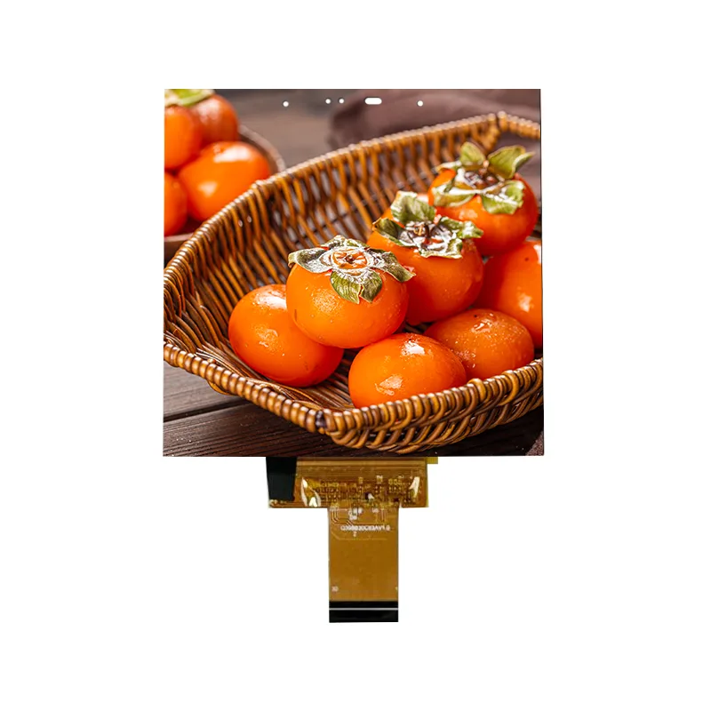 3.95 düym kiçik ölçülü IPS ağıllı ev üçün hüceyrə sensoru ekran modulu