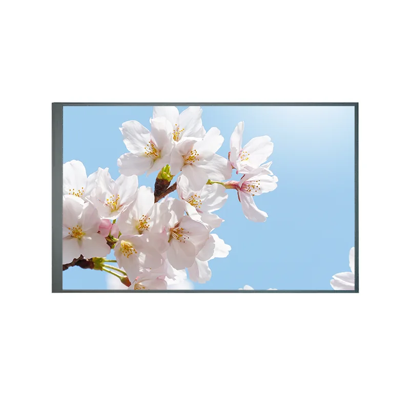 8.0 düym adətən geri TFT IPS TFT LCD ekran modulu